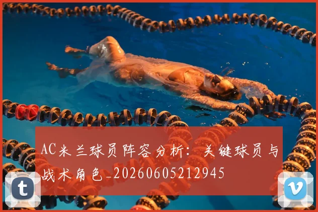 AC米兰球员阵容分析:关键球员与战术角色_20260605212945